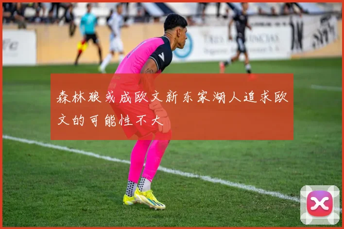 森林狼或成欧文新东家湖人追求欧文的可能性不大